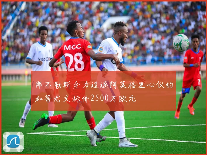 那不勒斯全力追逐阿莱格里心仪的加蒂尤文标价2500万欧元