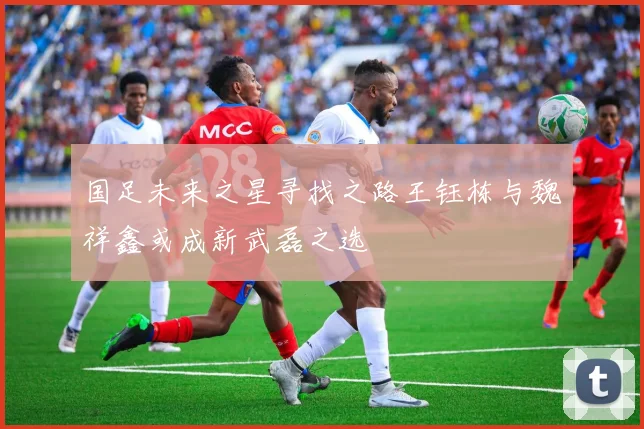国足未来之星寻找之路王钰栋与魏祥鑫或成新武磊之选